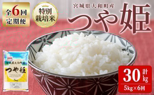 【令和7年産】＜6か月定期便＞特別栽培米 つや姫 5kg×6回(合計30kg) お米 おこめ 米 コメ 白米 ご飯 ごはん おにぎり お弁当 頒布会【農事組合法人若木の里】ta549 691821 - 宮城県大和町