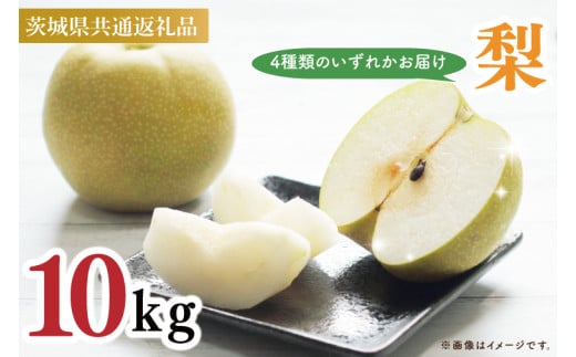 【茨城県共通返礼品】【先行予約】梨10kg（石岡市、下妻市、かすみがうら市産）【8月下旬より発送】4種類の中からランダムにお届け★ フルーツ 果物 幸水 豊水 秋月 新高（88-02）