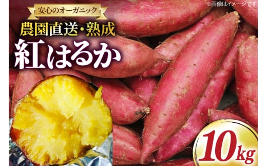 さつまいも 紅はるか 10kg [いしばし農園 福岡県 筑紫野市 21760965] さつま芋 べにはるか 10キロ 芋 お芋 オーガニック 有機 熟成