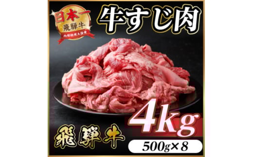 飛騨牛 牛すじ肉 約4kg(約500g×8) 訳あり＜冷蔵便＞A4等級以上【1634586】