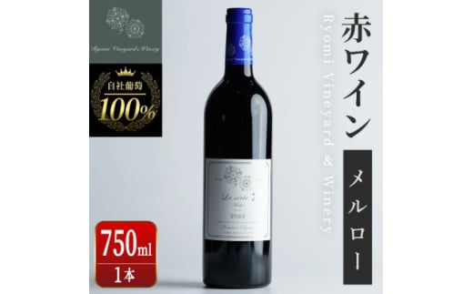 自社葡萄を使用した赤ワイン メルロー 750ml×1本【1599867】