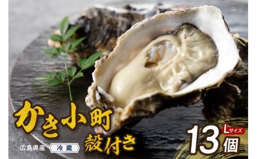[2025年11月解禁後順次発送]高田水産 殻付 かき小町 13個 (Lサイズ) ku010-006-11-25