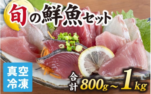 【日本海鮮魚】漁師厳選鮮魚真空冷凍セット 約800g～1.0kg(3種以上) | 魚 詰め合わせ 新鮮 煮物 焼き物 お造り 刺身 晩酌 食卓 BBQ 急速冷凍 真空パック 鮮魚セット 詰合せ 鮮魚店 厳選 お任せ 鮮度 産直 海鮮 加熱用 冷凍保存 福井県 南越前町 越前 送料無料