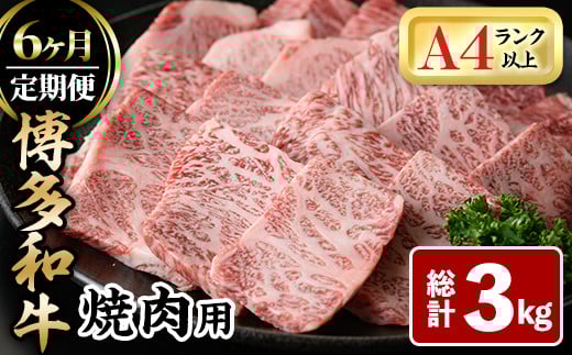 ＜全6回定期(毎月)＞博多和牛焼肉用(総計3kg)牛肉 黒毛和牛 国産 BBQ 化粧箱 贈答 ギフト プレゼント 定期便＜離島配送不可＞【ksg1720】【MEATPLUS】 2157667 - 福岡県春日市