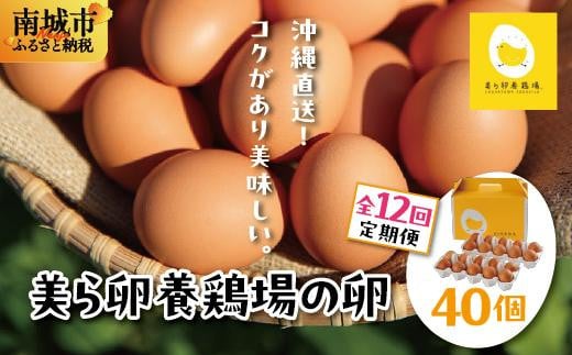 卵の黄身が掴めるほどの新鮮さ 美ら卵養鶏場の卵 40個【12ヶ月定期便】