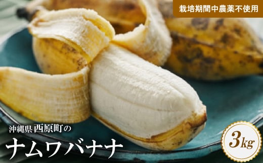 西原町の栽培期間中農薬不使用のナムワバナナ3kg【1616143】 2093378 - 沖縄県西原町