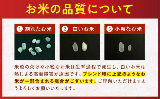 米 お米 白米 精白米 精米 ごはん ご飯 おにぎり 弁当 5kg 10kg 15kg 福岡 お米マイスター