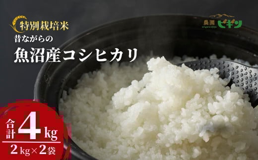 令和7年産 昔ながらの魚沼産コシヒカリ 精米4kg(2kg×2袋) 従来品種 農園ビギン 【0002-BN01-01】 772807 - 新潟県小千谷市