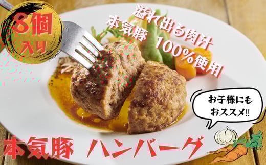 元気豚使用 ハンバーグ８個入
