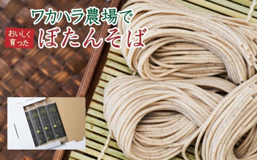 L-1013 ワカハラ農場でおいしく育ったぼたんそば《太麺》4束