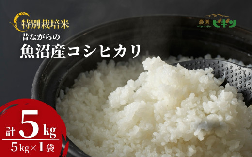 令和7年産 昔ながらの魚沼産コシヒカリ 精米5kg(5kg×1袋) 従来品種 農園ビギン 【0002-BN04-01】 772659 - 新潟県小千谷市