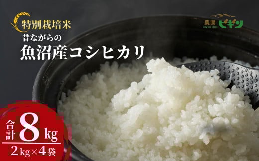 令和7年産 昔ながらの魚沼産コシヒカリ 精米8kg(2kg×4袋) 従来品種 農園ビギン 【0002-BN03-01】 772809 - 新潟県小千谷市