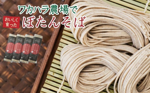 L-1014 ワカハラ農場でおいしく育ったぼたんそば《細麺》4束