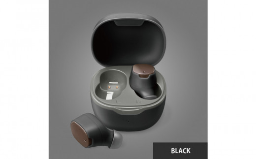 【ブラック】Bluetooth 5.3 IPX5 防滴 完全ワイヤレス ステレオイヤホン カナルタイプPG-BTE17TW 2156419 - 神奈川県横浜市