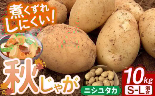 【先行予約】＜2025年12月〜発送＞長崎県産 秋作じゃがいも ニシユタカ 10kg 長崎県/オースタイルファーム株式会社 [42ALAD006]