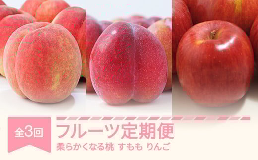 【先行予約】フルーツ定期便 全3回 白桃 すもも りんご 秀品 2025年産 令和7年産 ※沖縄・離島への配送不可 sb-fthpl3 2134114 - 山形県村山市