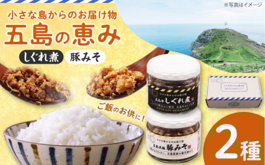 五島の恵み2種セット(五島牛 しぐれ煮・五島美豚 豚みそ)　長崎県/長崎県農協直販 [42ZZAA250]