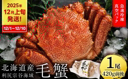 【2025年12月1日~12月10日発送】毛ガニ 小小サイズ(420g前後) 1尾<利尻漁業協同組合> 2159052 - 北海道利尻富士町