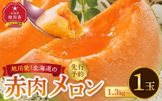 【先行予約】旭川発！北海道の赤肉メロン1玉（1玉標準 1.3kg以上）(2025年6月下旬より発送開始予定) _05230 2152144 - 北海道旭川市
