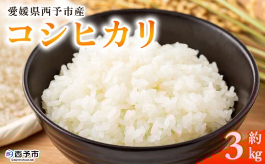 ＜愛媛県西予市産 コシヒカリ 3kg＞ 国産 愛媛県産 宇和町産 宇和米 こしひかり お米 米 コメ こめ 白米 精米 ご飯 新鮮 3kg 3キロ 選べる 特産品 大塚農園 愛媛県 西予市