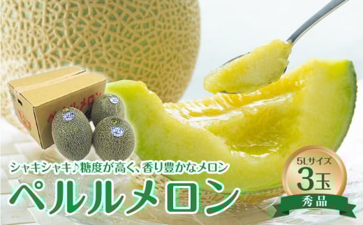 740.【先行予約】【JA】ペルルメロン　秀5L×3玉 ※離島への配送不可 ※2026年6月初旬頃～7月初旬頃に順次発送予定【メロン めろん フルーツ 果物 鳥取県 北栄町 おすすめ 人気】 825146 - 鳥取県北栄町