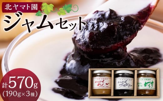 ジャム セット 570g ( 190g × 3種 ) 北ヤマト園
