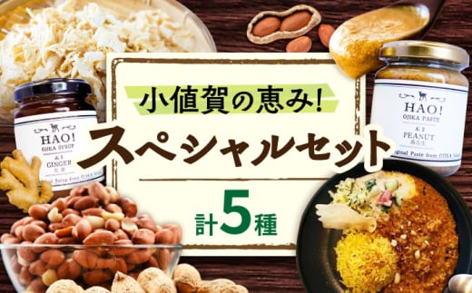 小値賀の恵み！スペシャルセット/ ピーナッツペースト ピーナッツカレーセット ジンジャーシロップ 切干大根70g 各2個 むき身落花生 3袋 贈答 【小値賀町】《小値賀町担い手公社》 [DAA056]