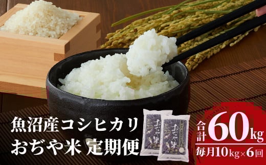 【6か月定期便(毎月発送)】 令和7年産新米 魚沼産コシヒカリ 精米10kg(5kg×2袋)×全6回 ※2025年10月上旬から発送予定 米 お米 こしひかり 魚沼 白米 精米 新潟県産 JA魚沼| 新潟県産コシヒカリ お米 米 こしひかり 魚沼産 ブランド米【0002-JA08DB00-02】