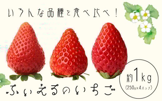 いちご 章姫 晴苺 紅ほっぺ 約1kg(約250g×4P) ふぃえる《1月上旬~4月中旬頃出荷予定》岡山県 矢掛町産 苺 果物 フルーツ ふぃえる 2156817 - 岡山県矢掛町
