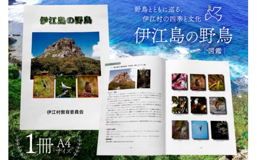 図鑑 伊江島の野鳥 1冊 [伊江村教育委員会 沖縄県 伊江村 ie47bde310000] 本 書籍 教育 野鳥図鑑 野鳥 鳥