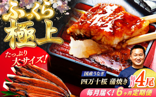 【6回定期便】極上国産うなぎ四万十桜 蒲焼き4尾 たっぷり大サイズ / 国産 高知 四万十 うなぎ ウナギ 鰻 蒲焼き うな重 惣菜 贅沢 【有限会社もりた】 [ATHE011] 2142925 - 高知県高知市