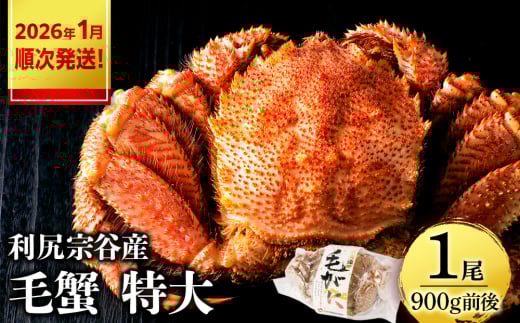 【2026年1月発送】 毛ガニ 特大(900g前後) 1尾<利尻漁業協同組合> 2159005 - 北海道利尻富士町