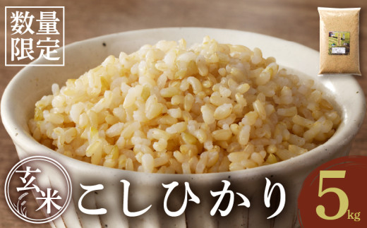 先行予約≪都農町産≫新米コシヒカリ(玄米)5kg 米 お米 ご飯 国産
