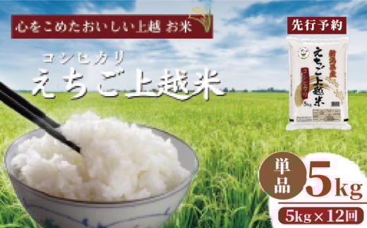 【先行予約】令和7年 新米 新潟県産コシヒカリ えちご上越米　定期便 【12ヶ月連続お届け】5kg×12回 60kg 新潟 米 新潟県 こしひかり 限定 おすすめ 2157557 - 新潟県上越市