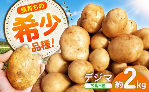 島の元気なじゃがいも!旨味抜群の『デジマ』2kg 五島市/あわたに農園 [PGO003]