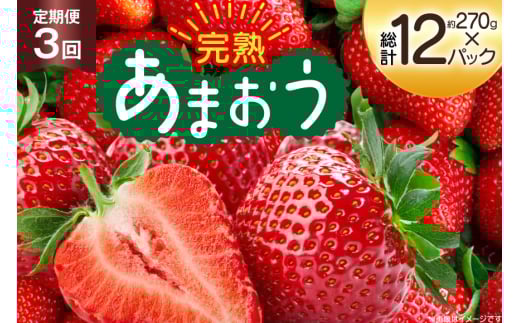 【期間限定発送】 いちご 3回 定期便 福岡県産 完熟 博多 あまおう 270g 4p 総計12p [mhshops 福岡県 筑紫野市 21761227] イチゴ 苺 フルーツ 果物 くだもの 4パック