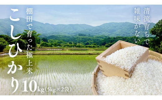 《 令和7年産 先行予約 》棚田で育った極上米 こしひかり 10kg ( 5kg × 2袋 ) 米 お米 白米 コメ ごはん 精米 コシヒカリ 国産 [BC062sa]