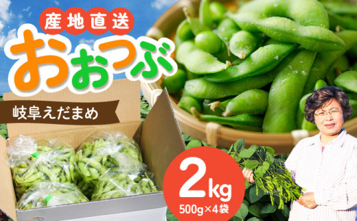 [毎年6月〜8月の発送] 岐阜市特産 枝豆2kg 1袋500g×4袋 ビールやお酒のおつまみに [配送不可地域:北海道・沖縄・離島] 料理 新鮮 採れたて 大粒 夏 あて 岐阜市 / 栗本農園 [ANCM001]