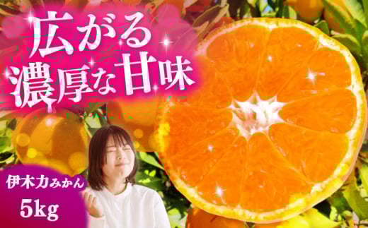 伊木力みかん 5kg（箱込み）長与町/岩永農園 [EAZ006]