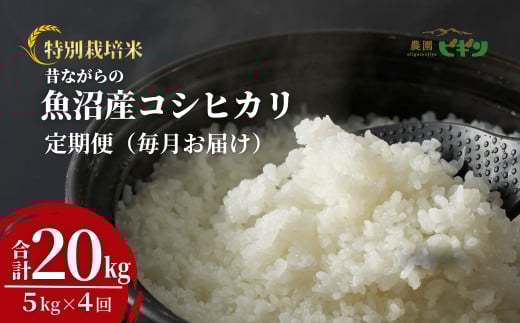 令和7年産 昔ながらの魚沼産コシヒカリ 精米20kg(5kg×毎月全4回) 農園ビギン【0002-BN10DB00-01】 928765 - 新潟県小千谷市