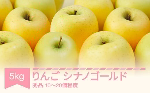 【先行予約】 シナノゴールド 秀品 5kg りんご 令和7年産 2025年産 果物 ※沖縄・離島への配送不可 sb-risgx5 2134116 - 山形県村山市