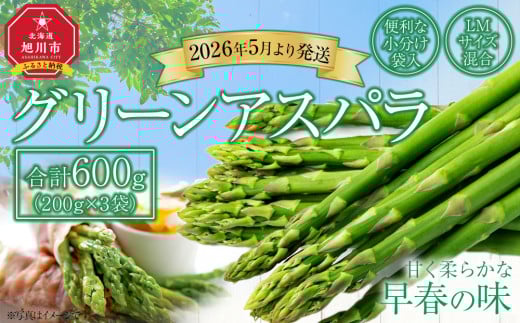 【便利な小分け袋入】グリーンアスパラ600g（200g×3袋）(2026年5月より順次発送予定) _05231 2152145 - 北海道旭川市