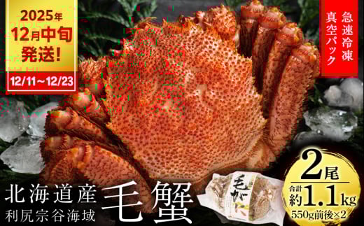 【2025年12月11日~12月23日発送】 毛ガニ 中小サイズ(550g前後) 2尾セット<利尻漁業協同組合> 2159041 - 北海道利尻富士町