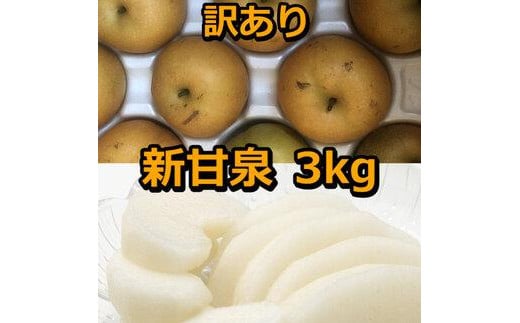 954.【訳あり】新甘泉 3kg（梨）※8月下旬頃～9月中旬頃に順次発送【先行予約 梨 なし 果物 フルーツ くだもの 鳥取県 北栄町 おすすめ 人気 送料無料】 1987252 - 鳥取県北栄町