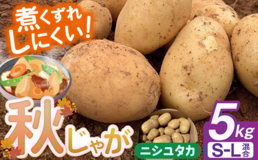 【先行予約】＜2025年12月〜発送＞長崎県産 秋作じゃがいも ニシユタカ 5kg 長崎県/オースタイルファーム株式会社 [42ALAD005]