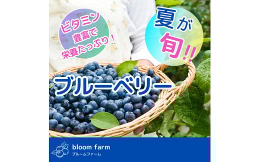 ブルーベリー 訳あり 500g×2パック | 大粒 品種ミックス くだもの 果物 フルーツ ヨーグルト ジャム 国産 愛知県産 ※2025年6月上旬～8月下旬頃に順次発送予定 ※北海道・沖縄・離島への配送不可