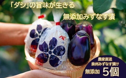 水なす漬け5個セット（042_5003）