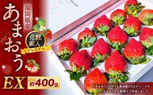 化粧箱入りプレミアムあまおう 約400g×1パック【ギフト・お祝い・贈答用】 あまおう いちご イチゴ 苺 果物 くだもの フルーツ【2026年2月上旬～4月上旬発送予定】