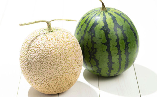 熊本県産 小玉スイカ & 肥後グリーンメロン 食べ比べ （計4玉約7kg） 【2025年7月下旬迄発送予定】 小玉すいか 小玉西瓜 スイカ すいか 西瓜 メロン めろん 果物 果実 フルーツ セット 九州 熊本県 熊本市 常温