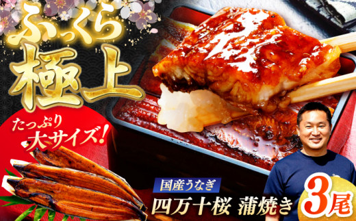 極上国産うなぎ四万十桜 蒲焼き3尾 たっぷり大サイズ / 国産 高知 四万十 うなぎ ウナギ 鰻 蒲焼き うな重 惣菜 贅沢 【有限会社もりた】 [ATHE002] 2142916 - 高知県高知市